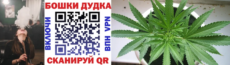 что такое   Новомичуринск  Конопля LSD WEED 